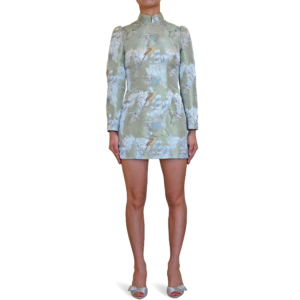 Bird-Print Mini Dress