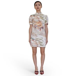 Printed Collared Mini Dress