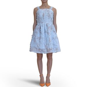 Floral Fit & Flare Mini Organza Dress